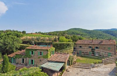 Vidiecky dom na predaj Arezzo, Toscana, RIF 2993 Blick auf Anwesen 