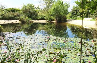 Kaštieľ na predaj Gémozac, Nouvelle-Aquitaine, Der Teich mit Sandstrand