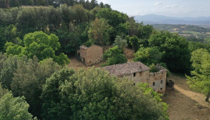 Statok Città di Castello 2