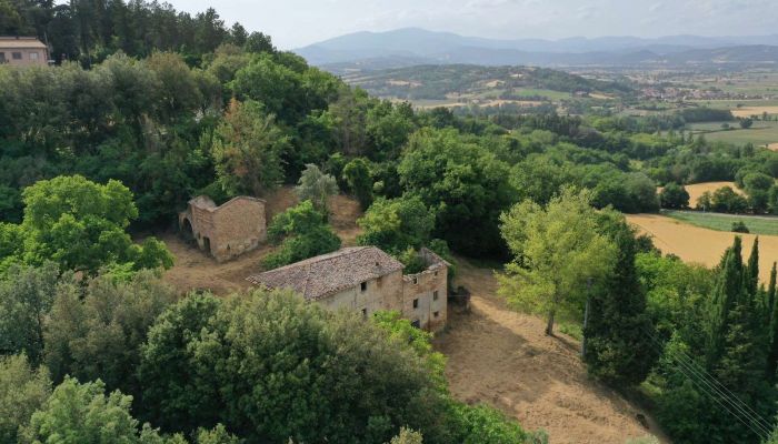 Statok Città di Castello 4