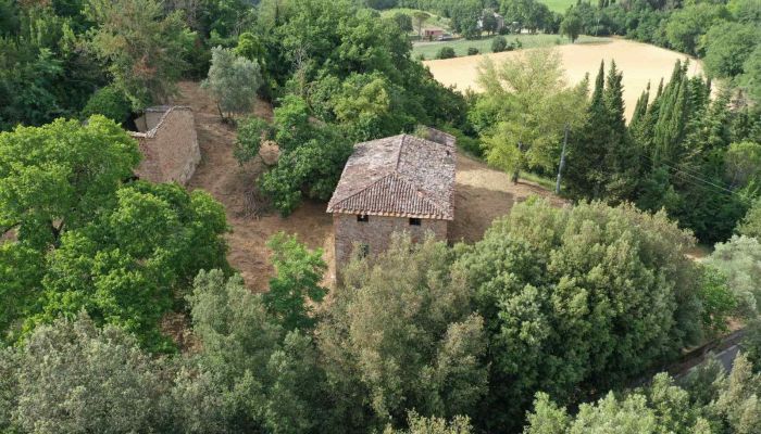 Statok Città di Castello 5