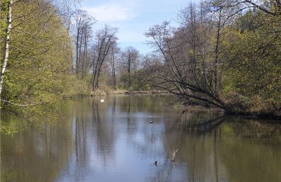 Historický park na predaj Dębe Wielkie, Ruda, województwo mazowieckie, Obrázok 14/24