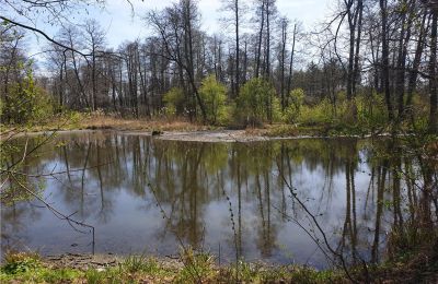 Historický park na predaj Dębe Wielkie, Ruda, województwo mazowieckie, Obrázok 20/24