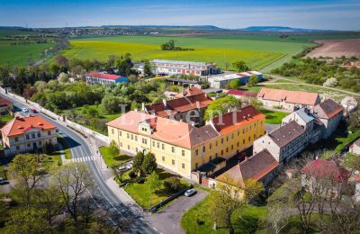 Zámok na predaj Cítoliby, Zamek Cítoliby, Ústecký kraj, Fotografia Drona