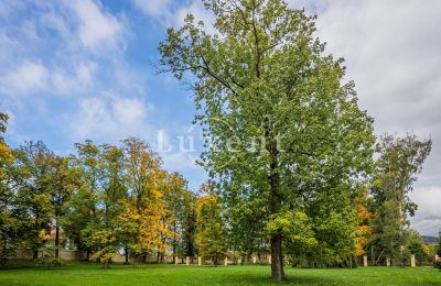 Zámok na predaj Mirošov, Zámek Mirošov, Plzeňský kraj, Obrázok 23/30