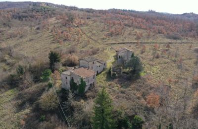 Statok na predaj 06019 Umbertide, Umbria, Obrázok 12/20