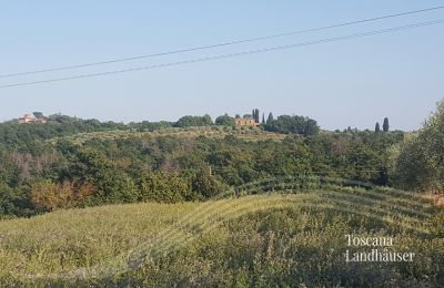 Statok na predaj Sinalunga, Toscana, RIF 3032 Blick auf Rustico