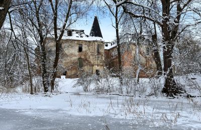 Zámok na predaj Komorowice, Wrocławska 27, województwo dolnośląskie, Obrázok 26/36