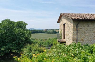 Statok na predaj Promano, Umbria, Obrázok 20/21