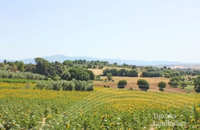 Historická vila na predaj Foiano della Chiana, Toscana, Výhľad