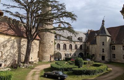 Zámok na predaj Veauce, Auvergne-Rhône-Alpes, Obrázok 4/9