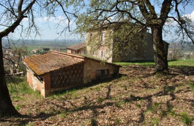 Statok na predaj Siena, Toscana, RIF 3071 Blick auf Rustico