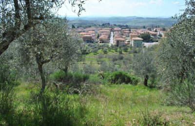 Statok na predaj Siena, Toscana, RIF 3071 Ausblick