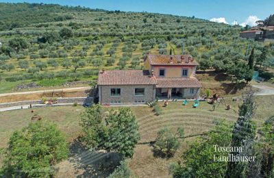 Vidiecky dom na predaj Cortona, Toscana, RIF 3085 Garten vor Haus