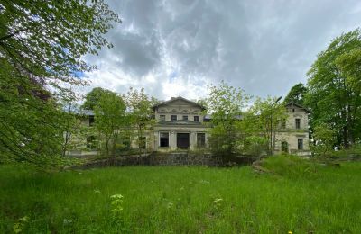 Zámok na predaj Stradzewo, Pałac w Stradzewie, województwo zachodniopomorskie, Obrázok 7/14