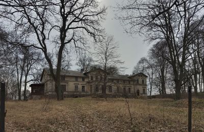 Zámok na predaj Stradzewo, Pałac w Stradzewie, województwo zachodniopomorskie, Zámocký park