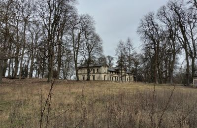 Zámok na predaj Stradzewo, Pałac w Stradzewie, województwo zachodniopomorskie, Zámocký park