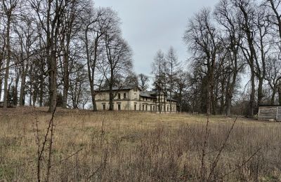 Zámok na predaj Stradzewo, Pałac w Stradzewie, województwo zachodniopomorskie, Obrázok 14/14