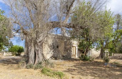 Kaštieľ na predaj Oria, Puglia, Obrázok 27/28