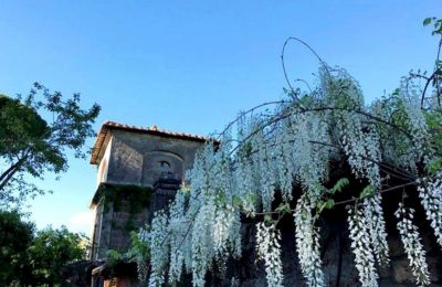 Historická vila na predaj Lazio, Veža