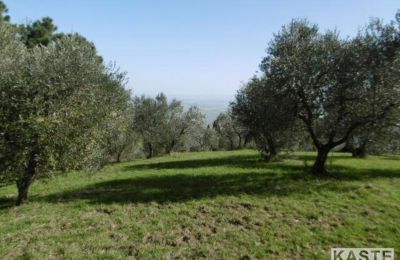 Vidiecky dom na predaj Rivalto, Toscana, Obrázok 7/14