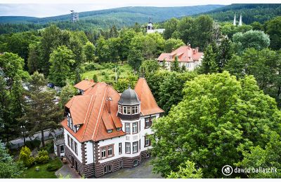 Historická vila na predaj Świeradów-Zdrój, Piastowaska 9, województwo dolnośląskie, Obrázok 3/16