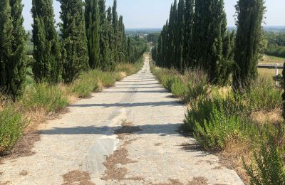 Historická vila na predaj Emilia-Romagna, Obrázok 3/9