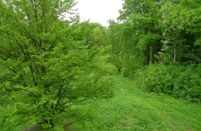 Zámok na predaj Gwoździany, Spółdzielcza 4a, województwo śląskie, Zámocký park