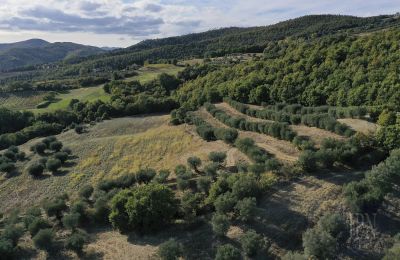 Veža na predaj 06019 Spedalicchio, Umbria, Obrázok 26/31