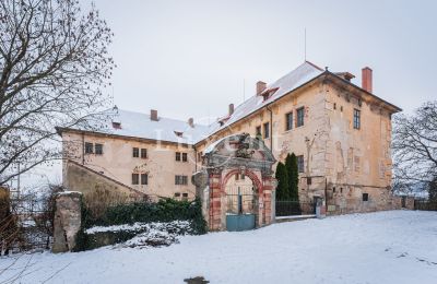 Zámok na predaj Žitenice, Zámek Žitenice, Ústecký kraj, Pohľad z prednej strany