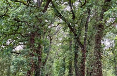 Zámok na predaj Loudun, Nouvelle-Aquitaine, Prístup