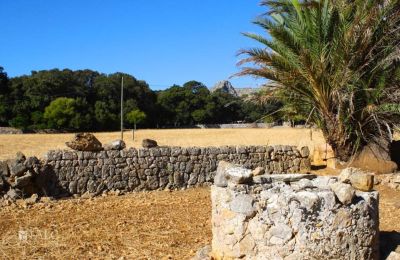 Kaštieľ na predaj Mallorca, Serra de Tramuntana, Cala Sant Vicenç, Baleárijské ostrovy, Obrázok 12/14