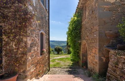 Statok Lamole, Toscana