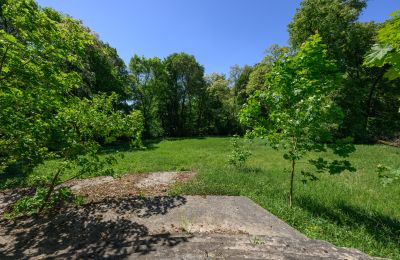 Kaštieľ na predaj Lubiatów, województwo łódzkie, Zámocký park