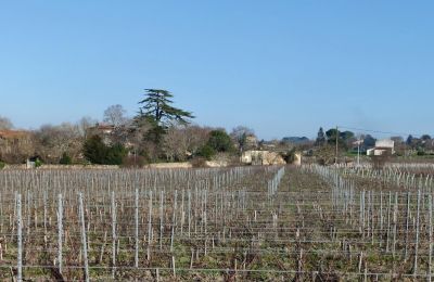 Zámok na predaj Blaye, Nouvelle-Aquitaine, Obrázok 11/14