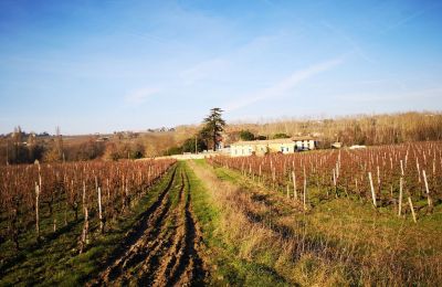 Zámok na predaj Blaye, Nouvelle-Aquitaine, Obrázok 12/14