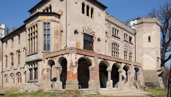 Hrad na predaj Zagórzany, województwo małopolskie,  Poľsko