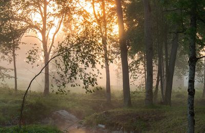 Kaštieľ na predaj Virķēni, virķēnu muiža, Vidzeme, Obrázok 10/17