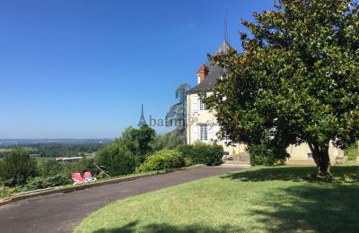 Kaštieľ na predaj Pau, Nouvelle-Aquitaine, Obrázok 15/19