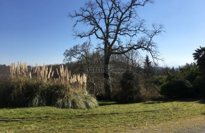 Zámok na predaj Pau, Nouvelle-Aquitaine, Zámocký park