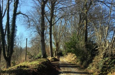 Zámok na predaj Pau, Nouvelle-Aquitaine, Prístup