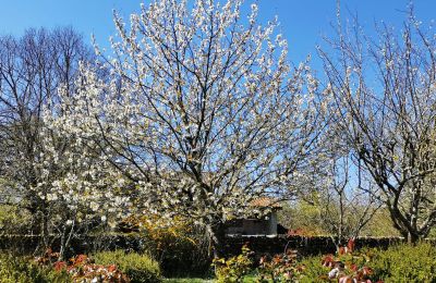 Kaštieľ na predaj Marciac, Occitanie, Záhrada