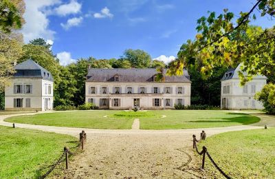 Zámok na predaj Bourgogne-Franche-Comté, Kúria/Panské sídlo