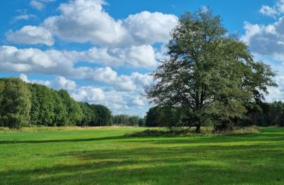 Kaštieľ na predaj 18461 Grenzin, Mecklenburg-Vorpommern, Wiese links