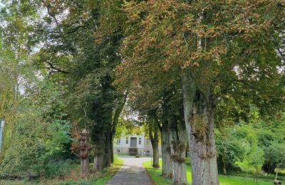 Kaštieľ na predaj 18461 Grenzin, Mecklenburg-Vorpommern, Allee zum Haus