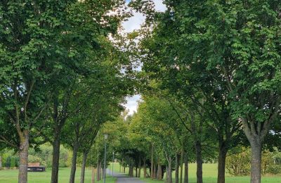 Kaštieľ na predaj 18461 Grenzin, Mecklenburg-Vorpommern, Allee zum Dorf