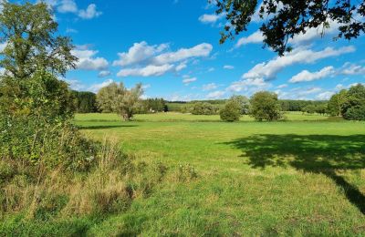 Kaštieľ na predaj 18461 Grenzin, Mecklenburg-Vorpommern, Wiese rechts