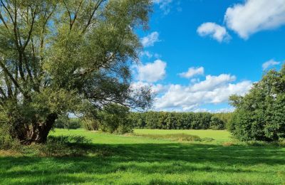 Kaštieľ na predaj 18461 Grenzin, Mecklenburg-Vorpommern, Landschaft