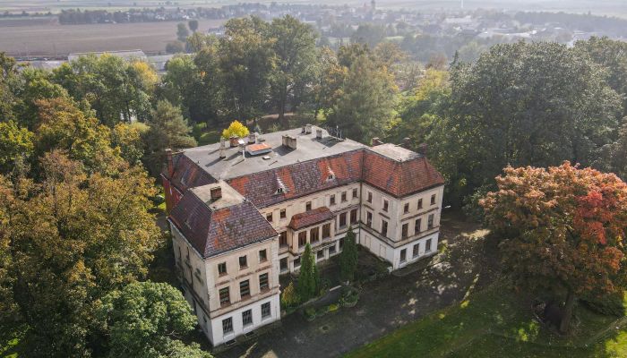 Zámok na predaj Wojnowice, województwo śląskie,  Poľsko