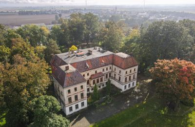 Zámok na predaj Wojnowice, Pałacowa, województwo śląskie, Fotografia Drona